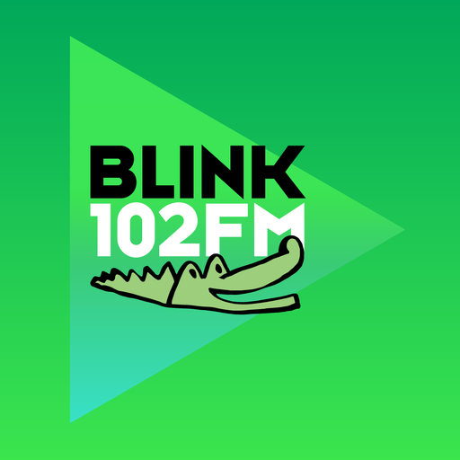 Blink 102