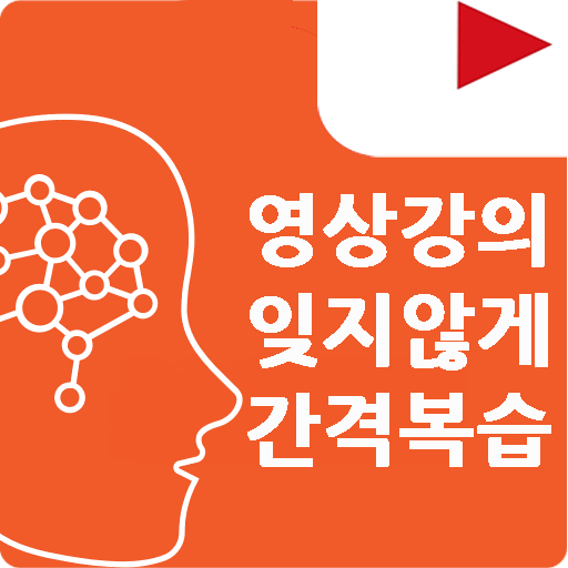 ANKI 플래시카드, 빅보카, 유튜브 영어강의 - 스터