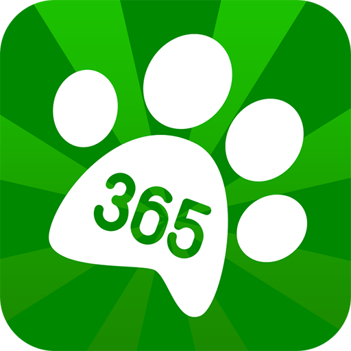 mydog365 – Hunde Training, Auslastung, Tricks, Fun