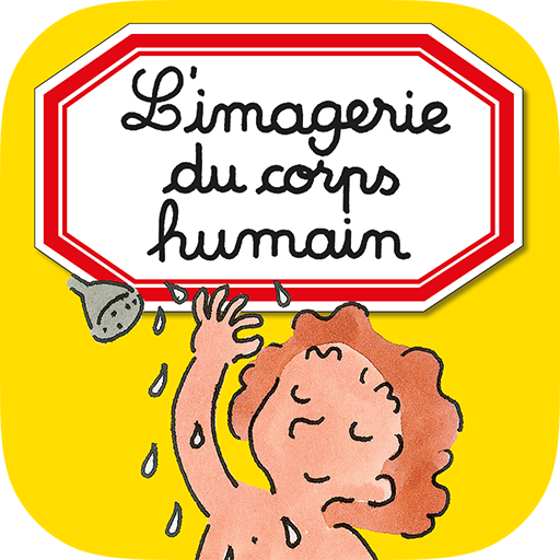 Imagerie du corps humain