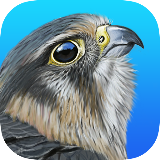 iBird United Kingdom Pro