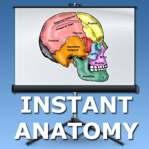 Head and Neck Lectures