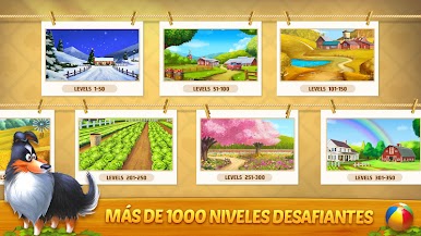 https://cdn-icon.bluestacks.com/lh3/ho0_tI8MhoQ9IkuAczNVD8A6k_f6H6PS7XmLr1hTl6sHZGb1J-gsVx2zpjHZyUdXpCw