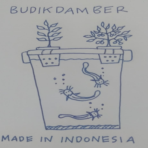 Cara Budidaya Ikan Dalam Ember (BUDIKDAMBER)