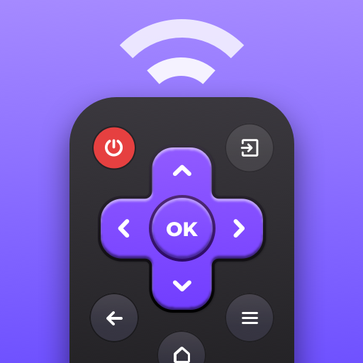 Universal TV Remote Control