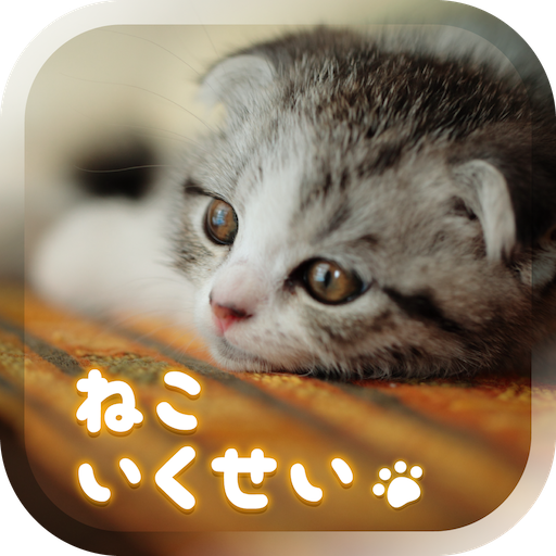 Cat Simulation Game 3D