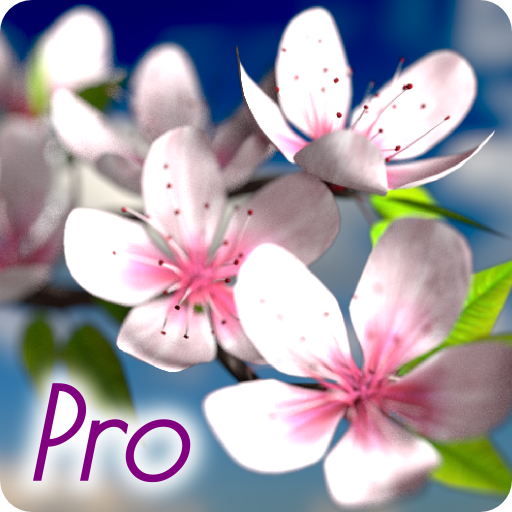 Spring Flowers Wallpaper - Pro