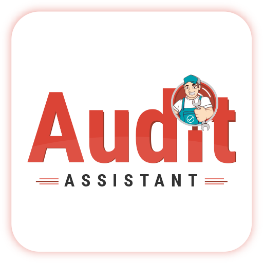 Audit Assistant - inspection