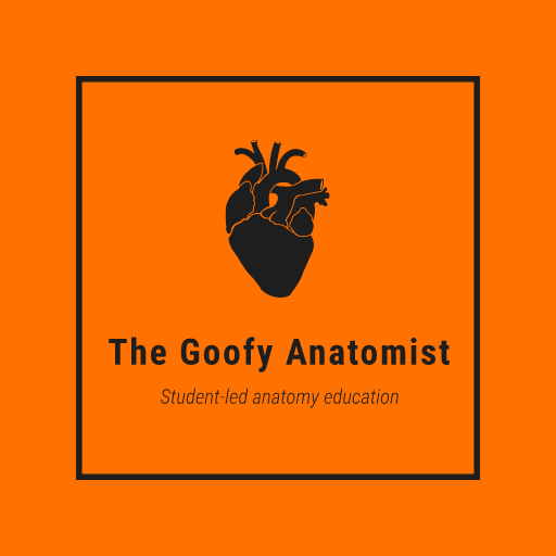 The Goofy Anatomist #MedEd