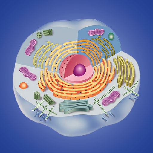 Cell biology