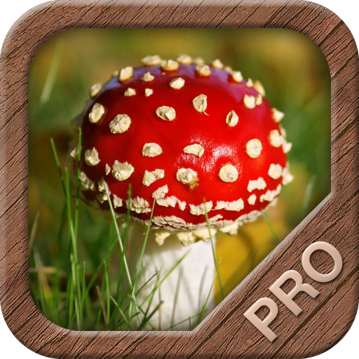 Mushrooms PRO - NATURE MOBILE