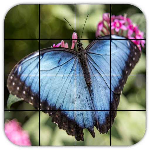 Tile Puzzles · Butterflies