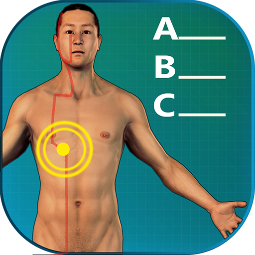 Acupuncture Quiz 3D - human