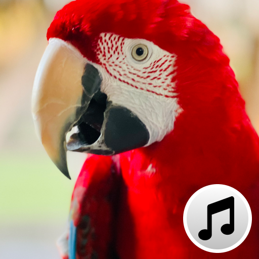 Bird Sounds and Ringtones