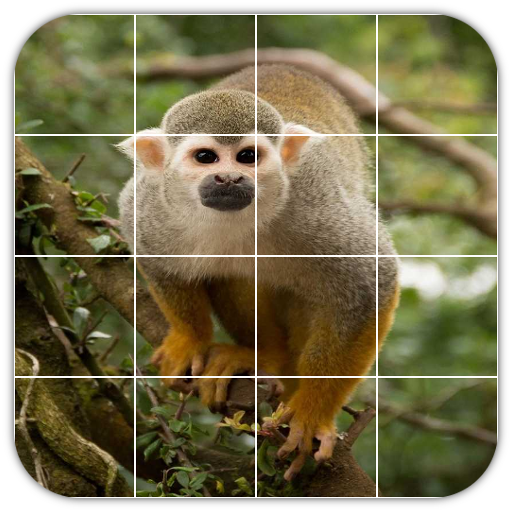 Tile Puzzles · Monkeys