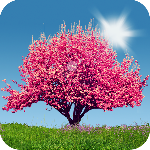 Spring Trees Live Wallpaper