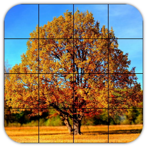 Tile Puzzles · Autumn