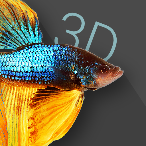 Betta Fish 3D Pro