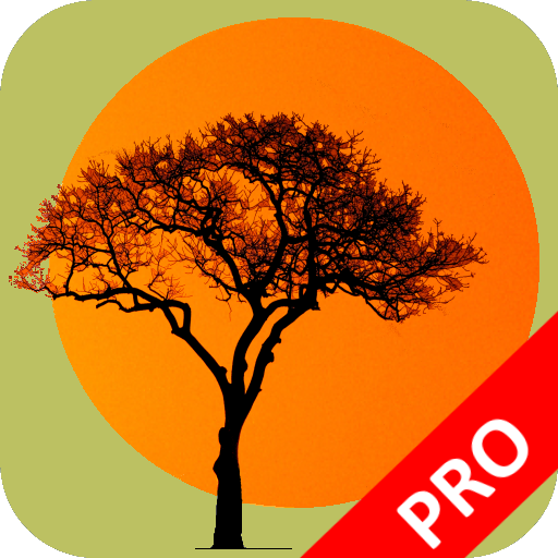 Kruger National Park FieldApp