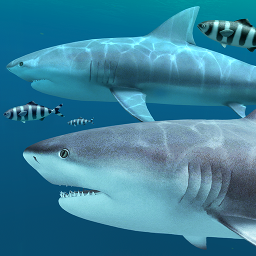 Sharks 3D - Live Wallpaper