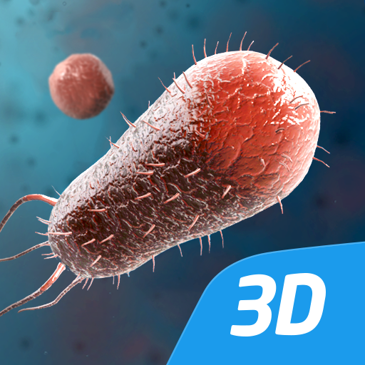 Bacteria interactive educational VR 3D