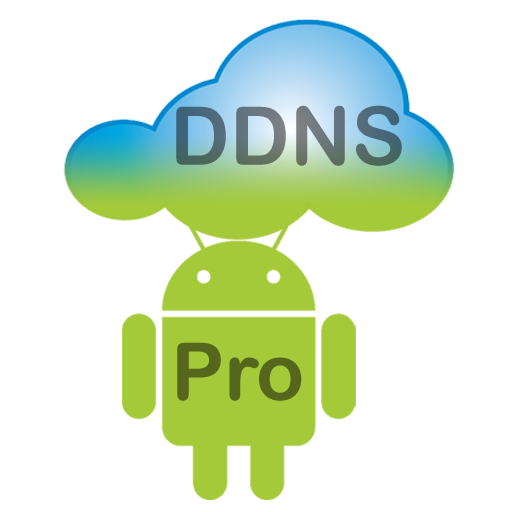 Dynamic DNS Update Pro