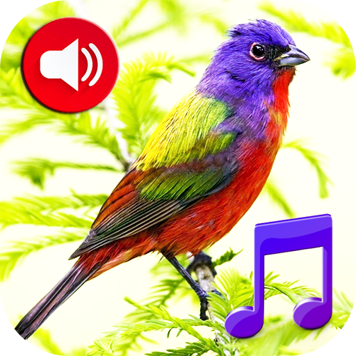 Birds Sounds Tones & Wallpaper