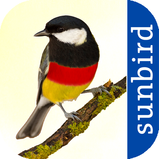 All Birds Germany  - A Sunbird Field Guide