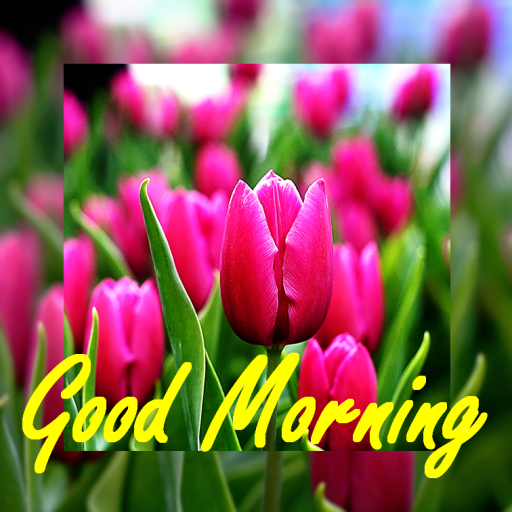 Beautiful Good Morning Cards