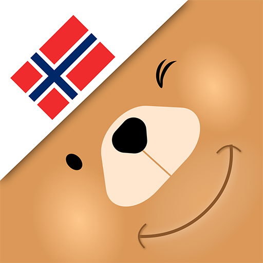 Learn Norwegian Vocabulary wit