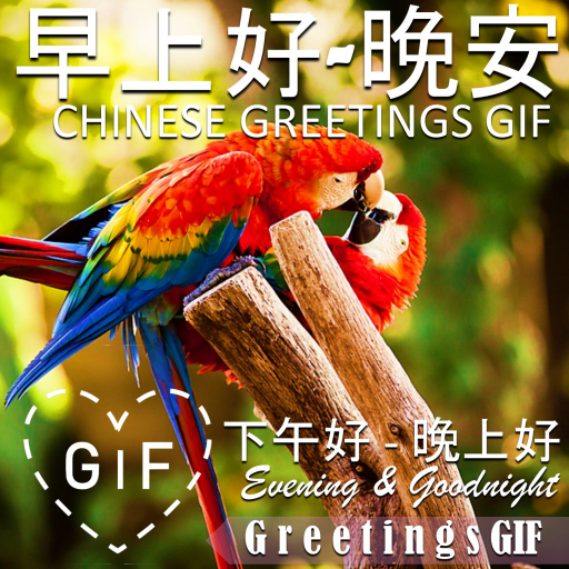 Chinese Good Morning Night Gif