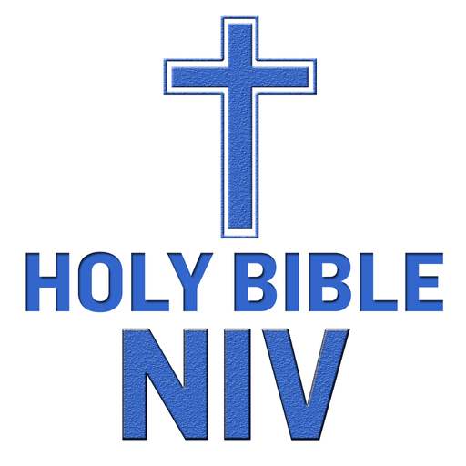 NIV Bible (International)