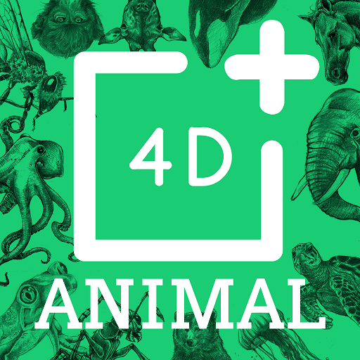 Animal 4D+