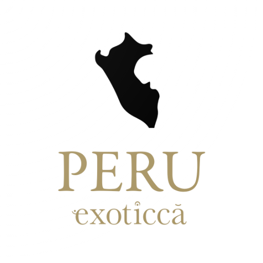 Peru Travel Guide in English w