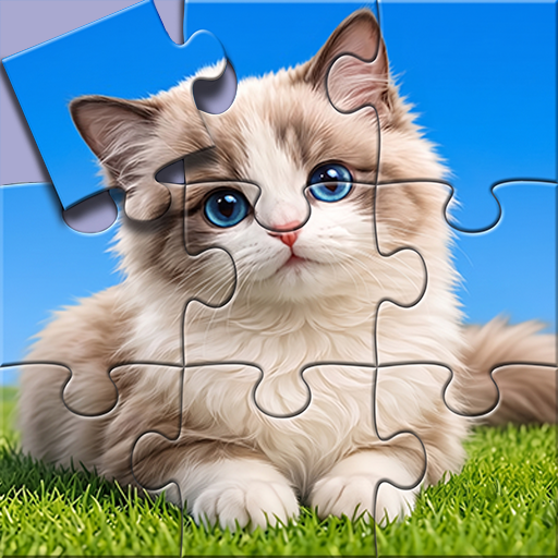 Jigsaw Puzzles & Story