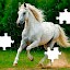 Jigsaw Puzzles - Jigsawgram
