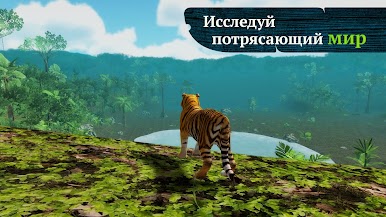 https://cdn-icon.bluestacks.com/msQt-wntJ52mxAKYrq-nbXgon3OXQUbS9d90F2V6nJPdB5AsMkdr7hpXqEJ4EC13IETYU3C60yoV7-vLgolrrCU