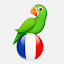 Learn French from scratch