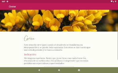 https://cdn-icon.bluestacks.com/nlnm7thVy43HNif5RcDP9FSdz1Lf4WlxwsZp3OGWta-bD9HIh3_tkj1LsdbjuSvu2CuJtaFW2xRFQQr2za_MQR0