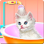 Kitty Care and Grooming