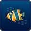 Big Fish