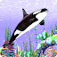 Fish Raising - My Aquarium