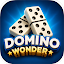 Domino Wonder