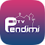 RTV Pendimi