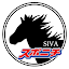 SIVA スポニチAI競馬予想！AIで的中率アップ！