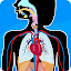 Human Anatomy - Body parts