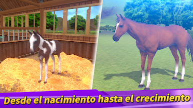 https://cdn-icon.bluestacks.com/peE1G5wPKpsim7jmWOFrxcx_Y3fwEGjDVwA8kigyoDESWq_8YmQIoYtl12sQtwQcgnscGMUfJ1xBU7INJvGHdw