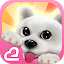 Hi! Puppies♪