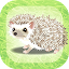 Hedgehog Pet