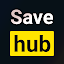 Hub Video Downloader